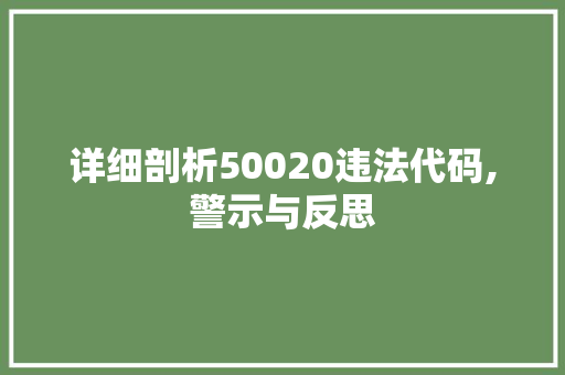 详细剖析50020违法代码,警示与反思