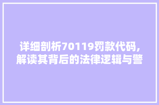 详细剖析70119罚款代码,解读其背后的法律逻辑与警示意义