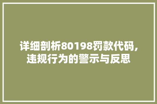 详细剖析80198罚款代码,违规行为的警示与反思