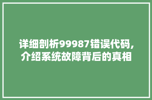 详细剖析99987错误代码,介绍系统故障背后的真相