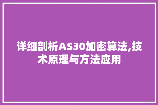 详细剖析AS30加密算法,技术原理与方法应用