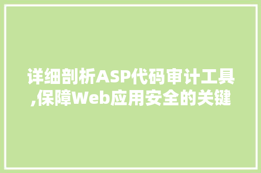 详细剖析ASP代码审计工具,保障Web应用安全的关键利器