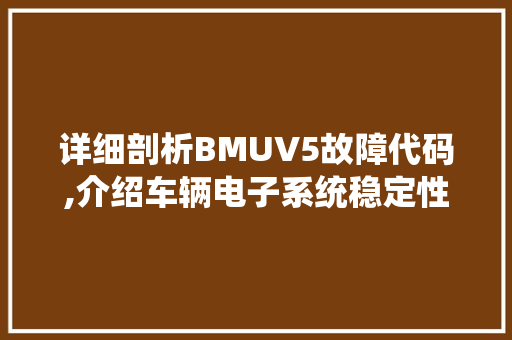 详细剖析BMUV5故障代码,介绍车辆电子系统稳定性的关键