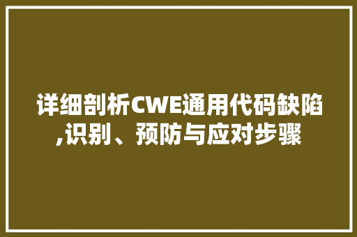 详细剖析CWE通用代码缺陷,识别、预防与应对步骤