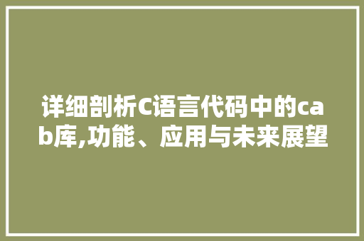 详细剖析C语言代码中的cab库,功能、应用与未来展望