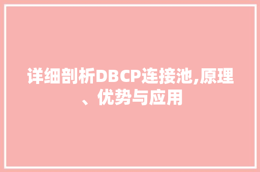 详细剖析DBCP连接池,原理、优势与应用