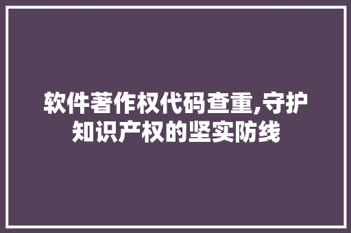 软件著作权代码查重,守护知识产权的坚实防线