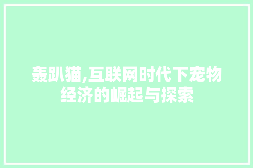 轰趴猫,互联网时代下宠物经济的崛起与探索