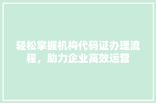 轻松掌握机构代码证办理流程，助力企业高效运营