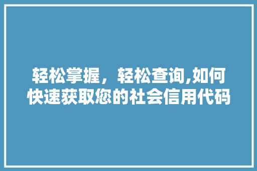 轻松掌握，轻松查询,如何快速获取您的社会信用代码