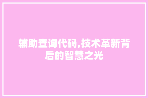 辅助查询代码,技术革新背后的智慧之光