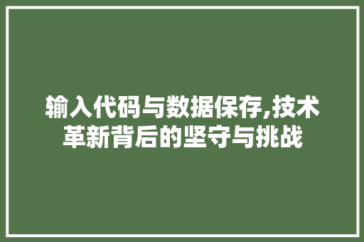 输入代码与数据保存,技术革新背后的坚守与挑战