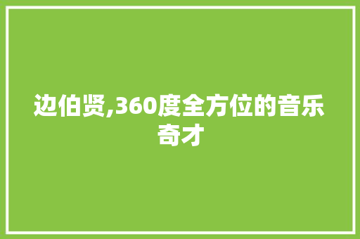 边伯贤,360度全方位的音乐奇才