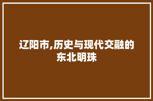 辽阳市,历史与现代交融的东北明珠