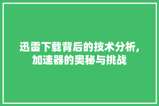 迅雷下载背后的技术分析,加速器的奥秘与挑战