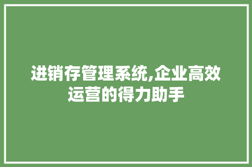 进销存管理系统,企业高效运营的得力助手