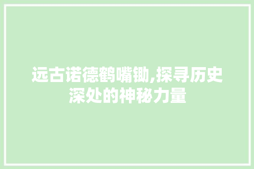 远古诺德鹤嘴锄,探寻历史深处的神秘力量