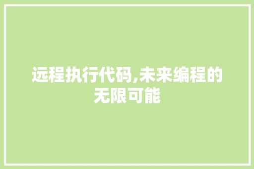 远程执行代码,未来编程的无限可能