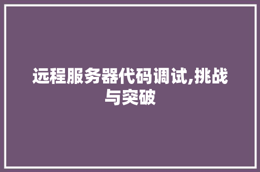 远程服务器代码调试,挑战与突破