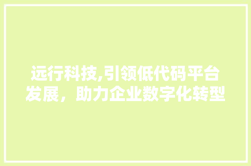 远行科技,引领低代码平台发展，助力企业数字化转型