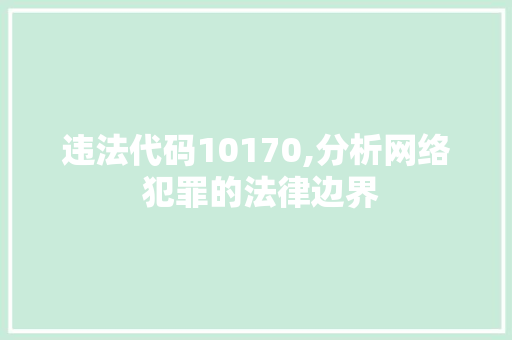 违法代码10170,分析网络 犯罪的法律边界