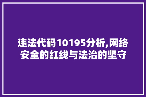 违法代码10195分析,网络安全的红线与法治的坚守