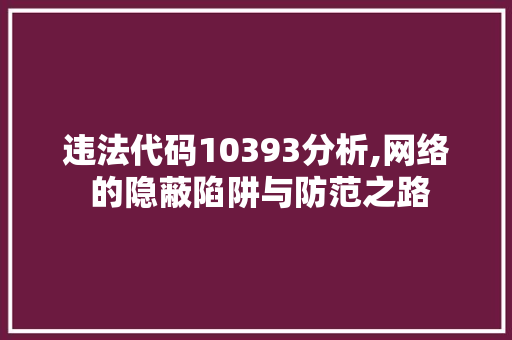 违法代码10393分析,网络 的隐蔽陷阱与防范之路