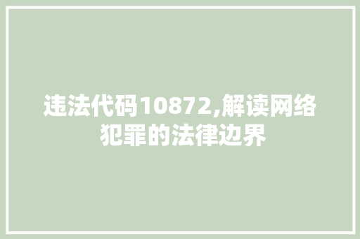 违法代码10872,解读网络 犯罪的法律边界