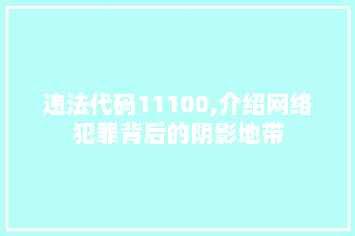 违法代码11100,介绍网络犯罪背后的阴影地带