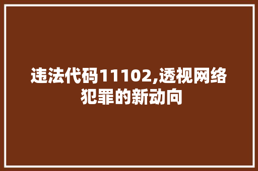 违法代码11102,透视网络 犯罪的新动向