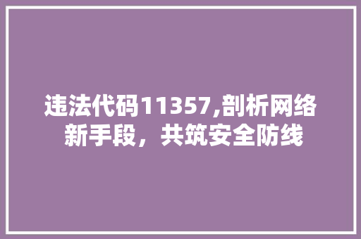 违法代码11357,剖析网络 新手段，共筑安全防线