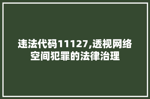 违法代码11127,透视网络空间犯罪的法律治理