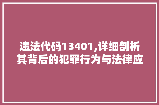 违法代码13401,详细剖析其背后的犯罪行为与法律应对