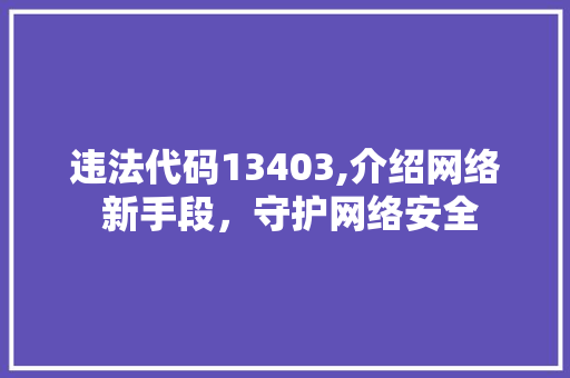 违法代码13403,介绍网络 新手段，守护网络安全