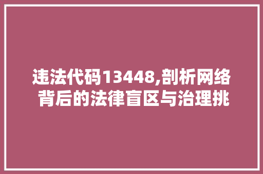 违法代码13448,剖析网络 背后的法律盲区与治理挑战