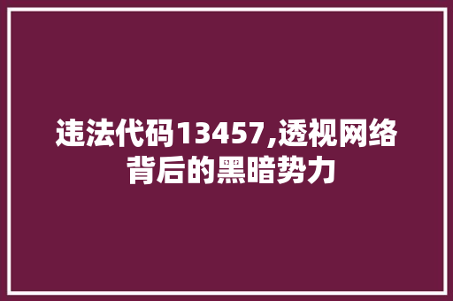 违法代码13457,透视网络 背后的黑暗势力