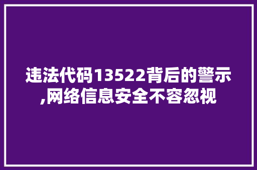 违法代码13522背后的警示,网络信息安全不容忽视