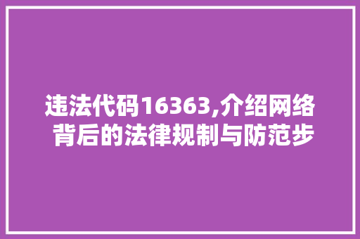 违法代码16363,介绍网络 背后的法律规制与防范步骤