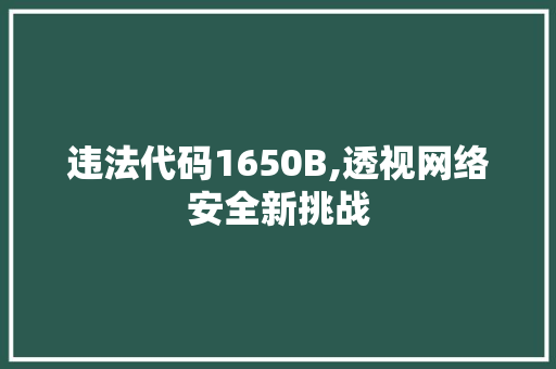 违法代码1650B,透视网络安全新挑战