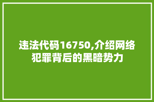 违法代码16750,介绍网络犯罪背后的黑暗势力