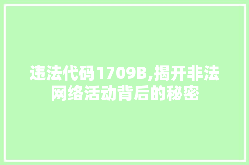 违法代码1709B,揭开非法网络活动背后的秘密