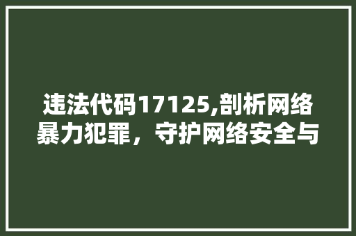 违法代码17125,剖析网络暴力犯罪，守护网络安全与和谐