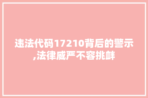 违法代码17210背后的警示,法律威严不容挑衅