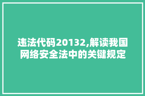 违法代码20132,解读我国网络安全法中的关键规定