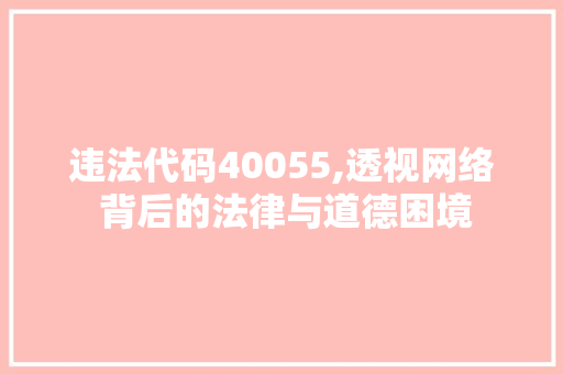 违法代码40055,透视网络 背后的法律与道德困境