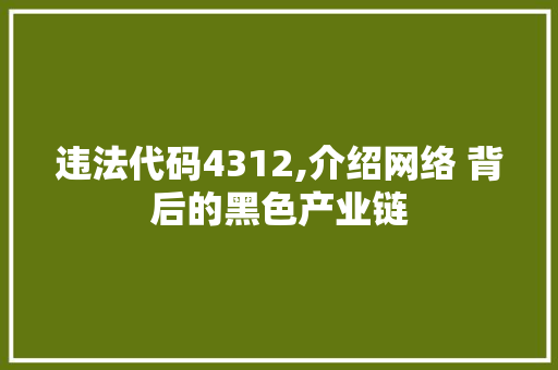 违法代码4312,介绍网络 背后的黑色产业链