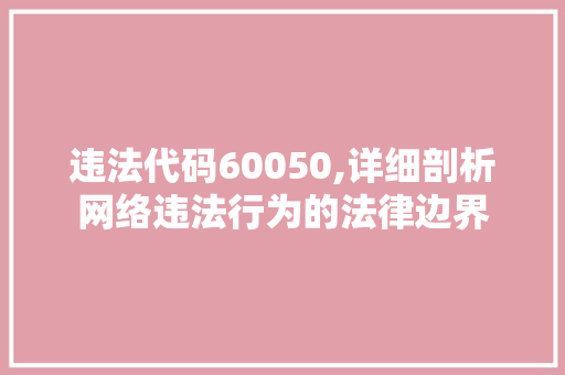 违法代码60050,详细剖析网络违法行为的法律边界