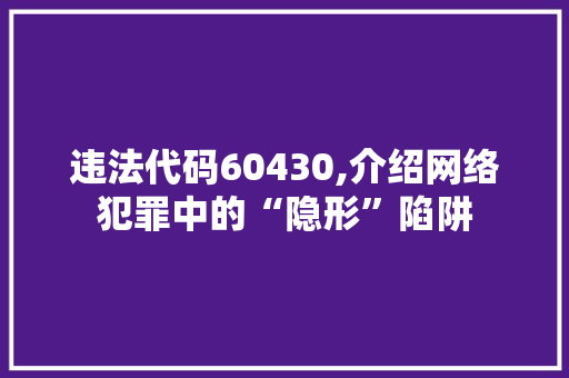 违法代码60430,介绍网络犯罪中的“隐形”陷阱