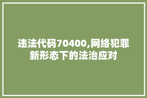 违法代码70400,网络犯罪新形态下的法治应对