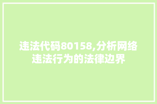 违法代码80158,分析网络违法行为的法律边界